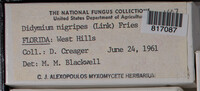Image Associated With the Occurence